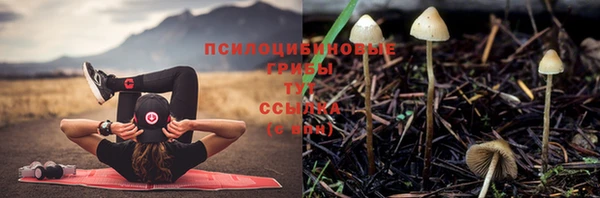 прущий лед Зеленодольск