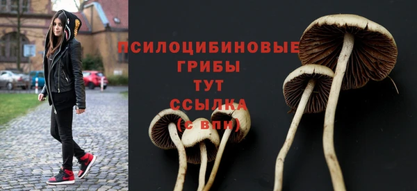 прущий лед Зеленодольск